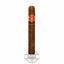 Buy Punch Gran Puro Sesenta online Punch Gran Puro Sesenta Cigar