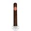 Buy Punch Grandote Double Maduro online Punch Grandote Double Maduro Cigar