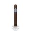 Buy CAO Nicaragua Matagalpa Online CAO Nicaragua Matagalpa Cigar