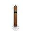 Buy Sindicato Robusto Online Sindicato Robusto Cigar
