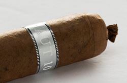 Picture for category Illusione Haut 10