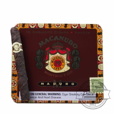 Buy Macanudo Maduro Ascots Online Macanudo Maduro Ascots