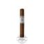 Buy Punch Signature Robusto Online Punch Signature Robusto Cigar