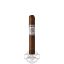 Buy Punch Signature Rothschild Online Punch Signature Rothschild Cigar