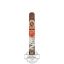 Rocky Patel Sixty Toro Cigar Rocky Patel Sixty Toro Cigar