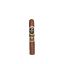 Aganorsa Leaf Rare Leaf Reserve Maduro Robusto Cigar Aganorsa Leaf Rare Leaf Reserve Maduro Robusto Cigar