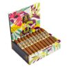 Trinidad Espiritu Miami Belicoso Box Open
