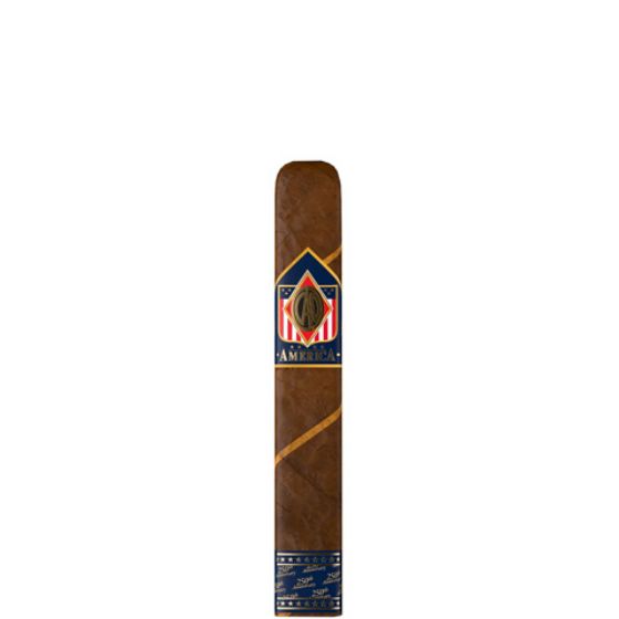 CAO America 250th Anniversary
